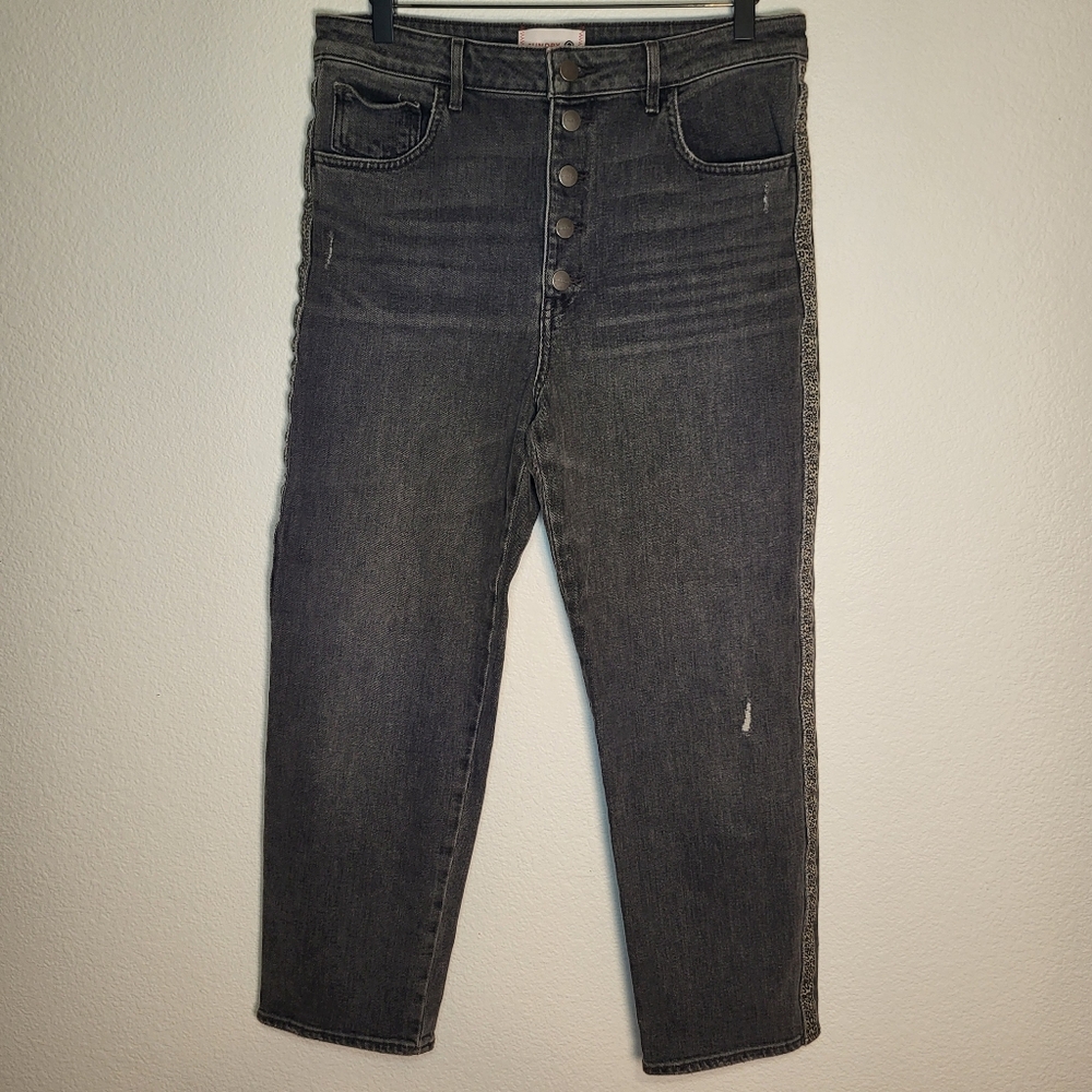Anthropologie | Sundry Leopard Side Stripe Button Fly Jeans in Gray size 30